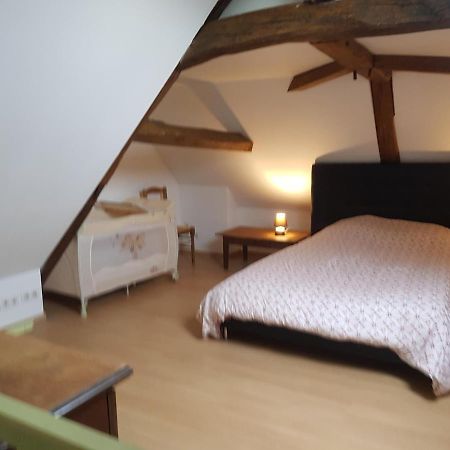 Vila Chez Laiko Wifi Gratuit Beaulieu-sur-Loire Exteriér fotografie
