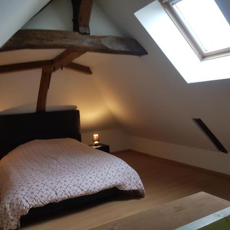 Vila Chez Laiko Wifi Gratuit Beaulieu-sur-Loire Exteriér fotografie