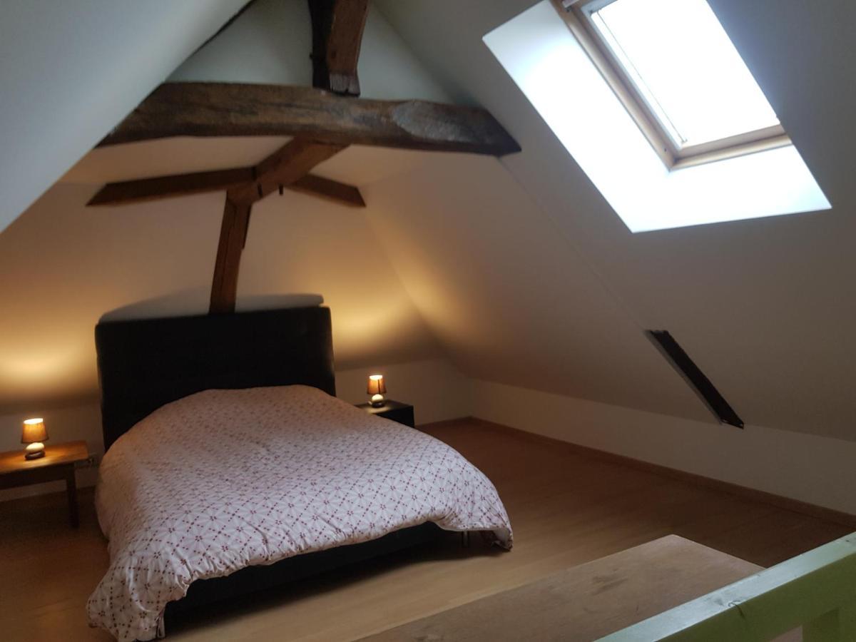 Vila Chez Laiko Wifi Gratuit Beaulieu-sur-Loire Exteriér fotografie